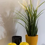 Stylish Zdziechowskiego With Parking & Office By Renters * Warszawa